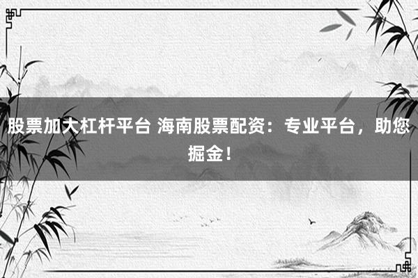 股票加大杠杆平台 海南股票配资：专业平台，助您掘金！