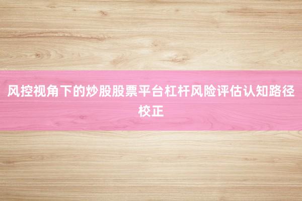 风控视角下的炒股股票平台杠杆风险评估认知路径校正