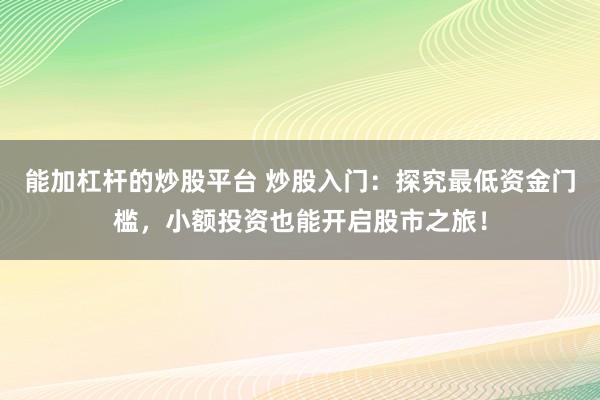 能加杠杆的炒股平台 炒股入门：探究最低资金门槛，小额投资也能开启股市之旅！