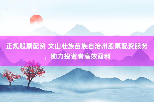 正规股票配资 文山壮族苗族自治州股票配资服务，助力投资者高效盈利